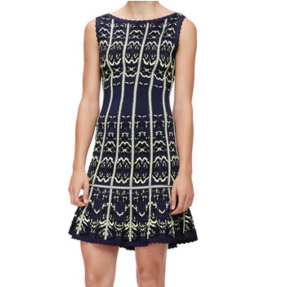 Herve Leger Katerina Dress